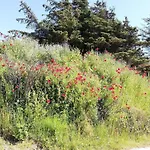 5 Star Holiday Home In Blokhus * Blokhus